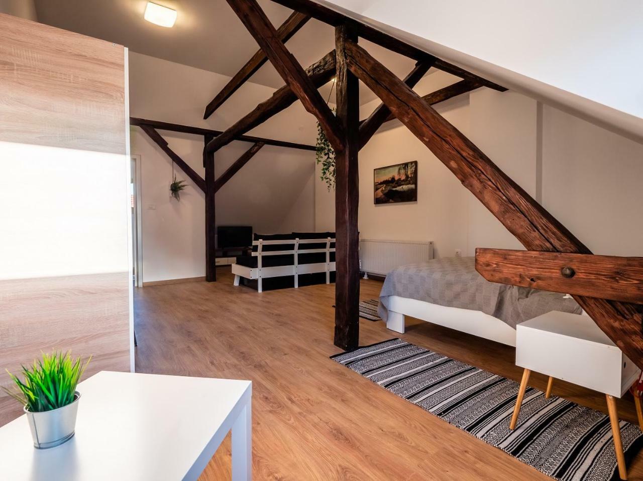 Eva Rooms & Studio Apartment Karlovac Buitenkant foto
